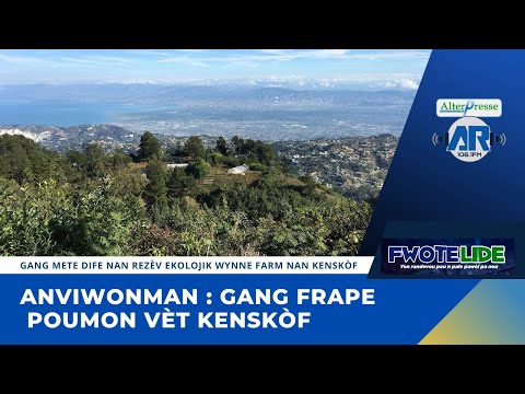 Environment Gang Strikes Green Lung Of Kenskof 