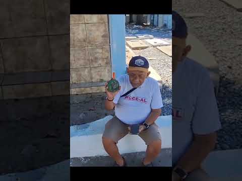 CAMPO SANTO - PARTE 2