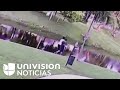 Video shows mom accused of killing autistic son pushing him into Miami canal