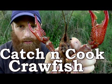 Catch and Cook CRAWFISH! Ep16  How to Cook and Eat CRAWDADS Survival  Challenge! 