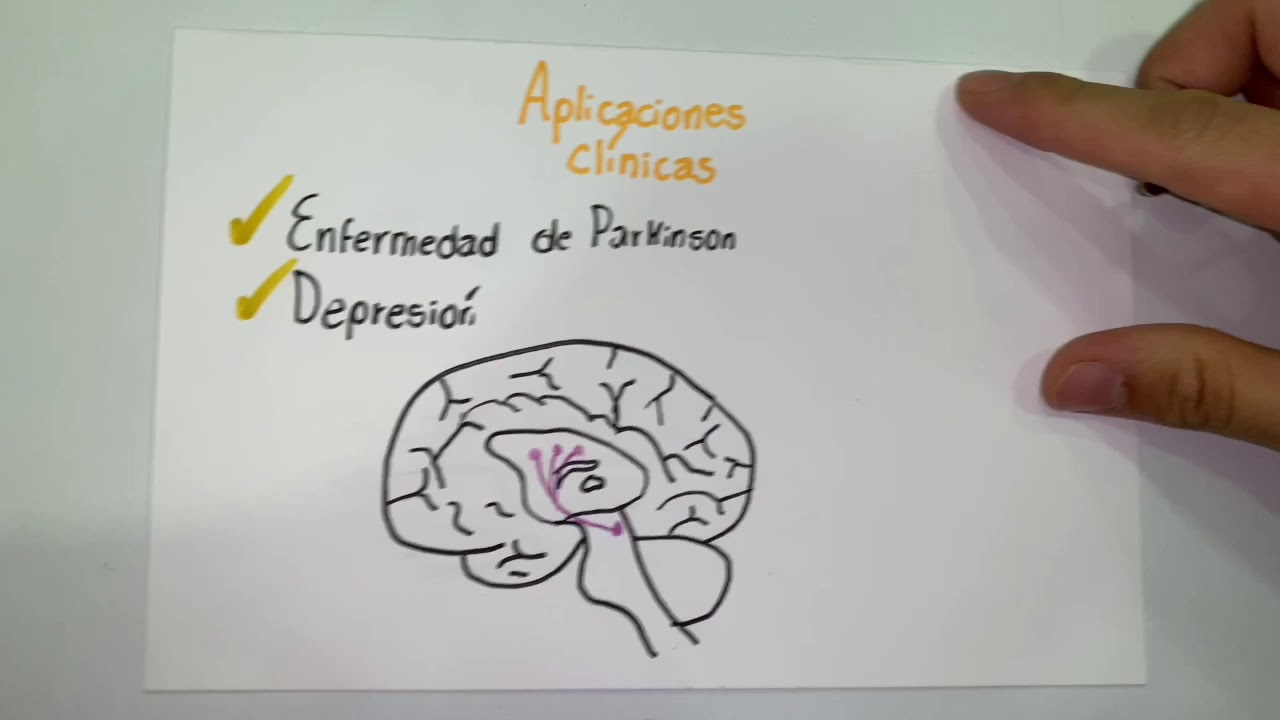 Qual O Mecanismo De Ação Da Selegilina?
