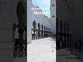 Day tour from Dubai to Abu Dhabi visiting the beautiful Mosque 😍