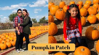 Pumpkin Patch