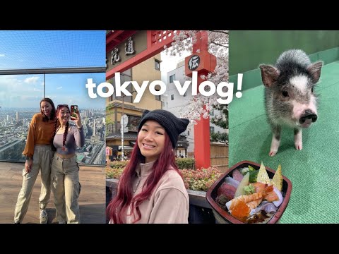 JAPAN TRAVEL VLOG🇯🇵🍡🍜 food, shopping, things to do