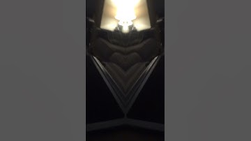 Meet the floating hand spider