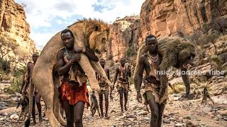 Hadzabe Tribe Hunting: Face to Face With an African Lion – A Deadly Survival Encounter
