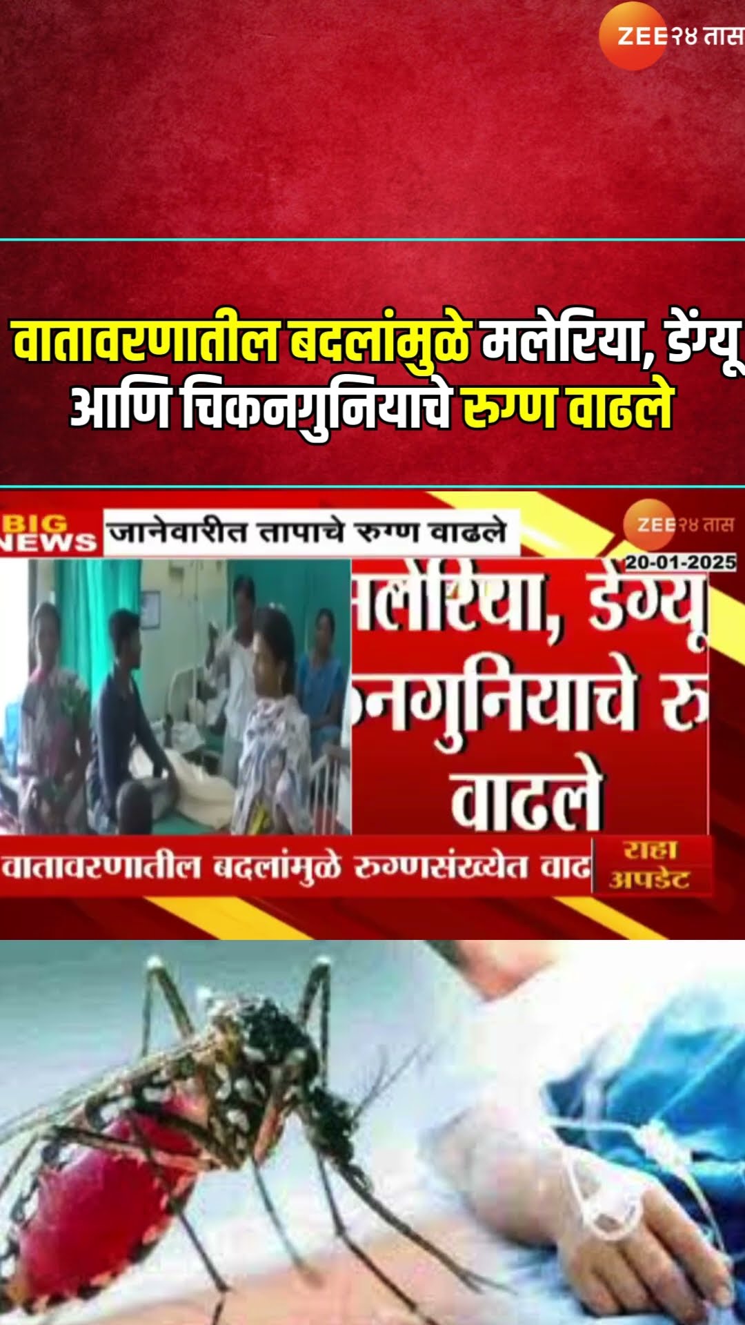Patients Increased । वातावरणातील बदलांमुळे मलेरिया, डेंग्यू आणि चिकनगुनियाचे रुग्ण वाढले | Zee24Taas