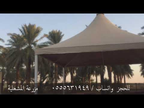 مزرعة المشعلية الخرج حزم الضبيعة