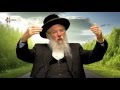 Maimonides' Guide for the Perplexed - Rabbi Dr. David Gottlieb