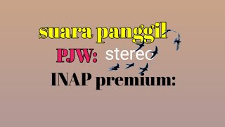 SUARA WALET🔴🔴🔴stereo PJW INAP Premium