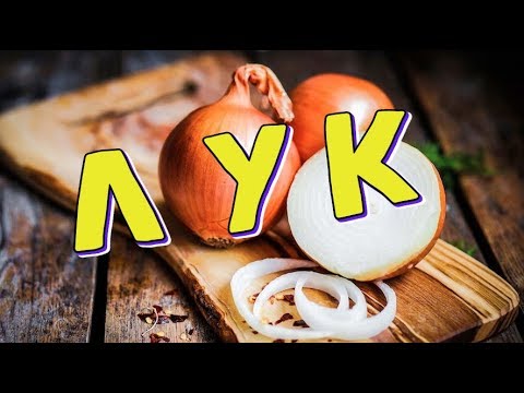 Лук и его