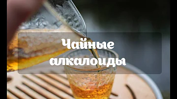 Что такое теин? Где больше теина, в зеленом или черном чае?