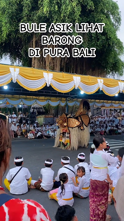 Bule lihat Barong di pura Bali #bali #infobali #pura #fyp #shorts #barong #odalan #wisatabali #viral
