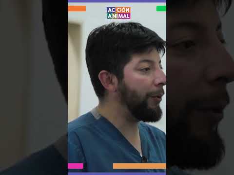 Conocemos en 'Acción