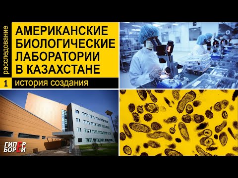 «Американские» лаборатории в