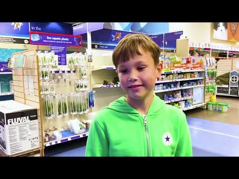 Макс и Катя в магазине для животных