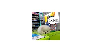 2025년 틱톡랜덤플레이댄스#틱톡랜덤플레이음원#2025틱톡#틱톡랜플#틱톡#랜플☘☘☘
