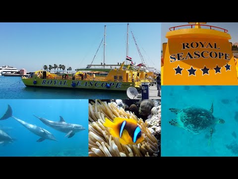 SEMI-SUBMARINE SNORKELING TRIP,