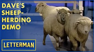 Dave's Sheepherding Challenge | Letterman