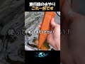 旅行中の水やり、これで解決!10日間ほったらかしOKな裏ワザ