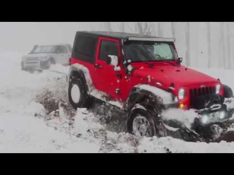 გასეირნება და სამაშველო საბადურის ტყეში