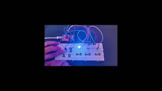 Implementation of 1 Bit Comparator using RISCV board