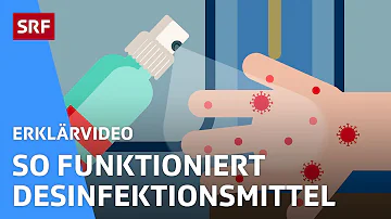 Wie funktioniert ein Desinfektionsmittel?