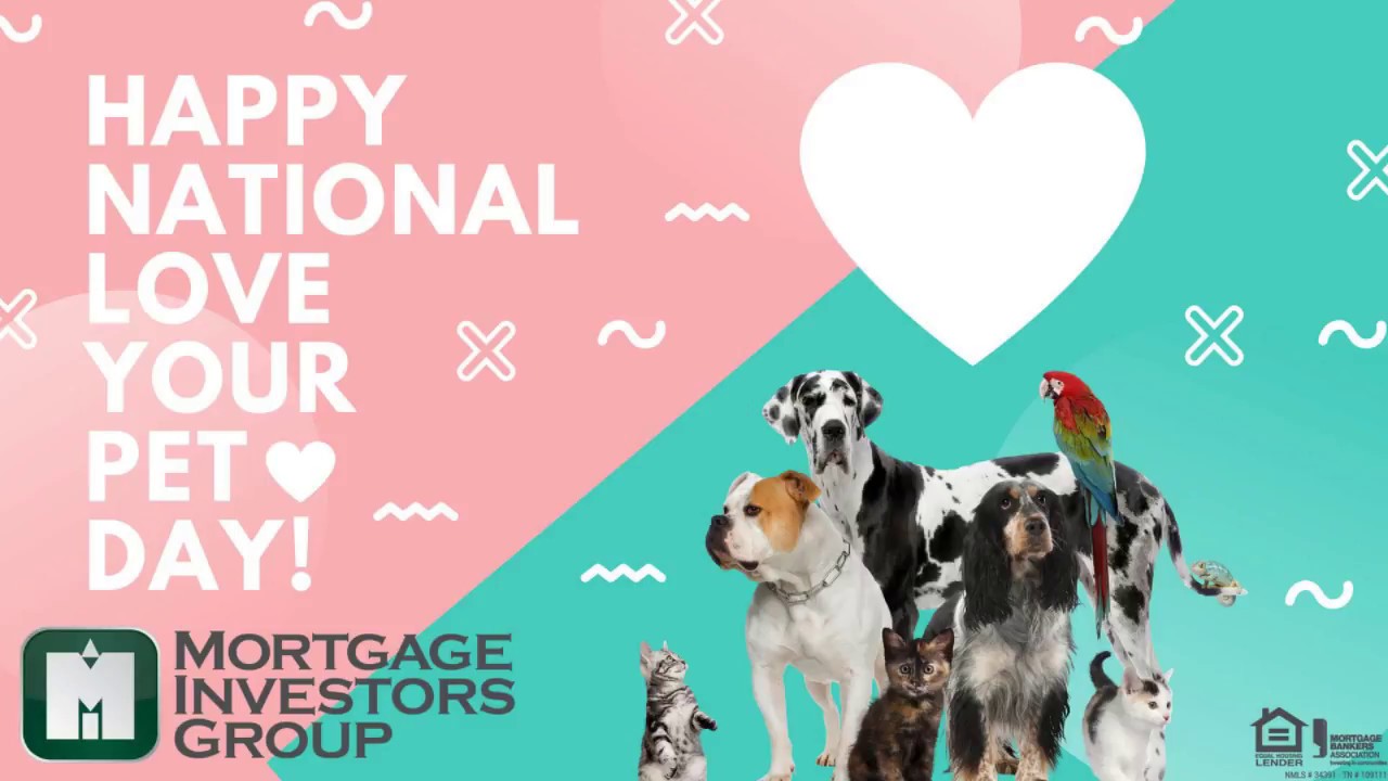 National Love Your Pet Day 2018 - YouTube