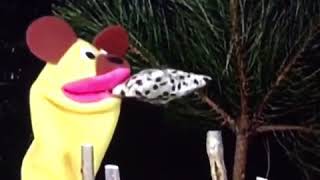 Baby Einstein Wild Animal Safari Kung Fu Fighting