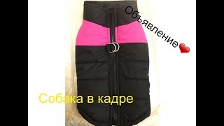 Объявление🎁Продажа жилета для собаки Объявление🎁Продажа жилета для собаки
