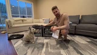 Cat Carrier Soft Sided Dog Carrier, Large Cat Carrier for Large Medium or 2 Small Cats, Portable screenshot 5