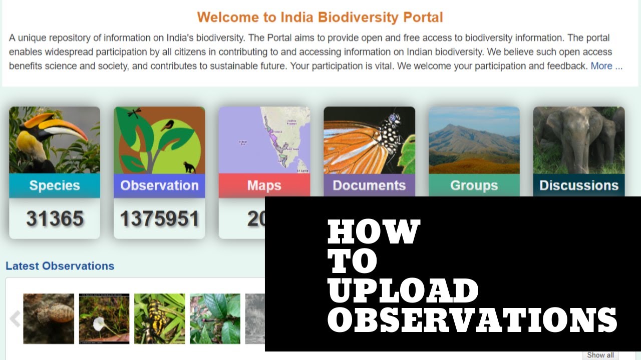 How to Upload Observations on the India Biodiversity Portal