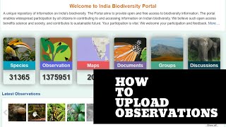 How to Upload Observations on the India Biodiversity Portal screenshot 4