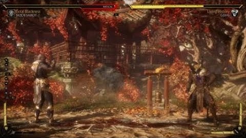MK11 - Noob Fatal Blow combo