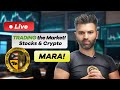 Live trading the stock market mara strategies analysis and insights