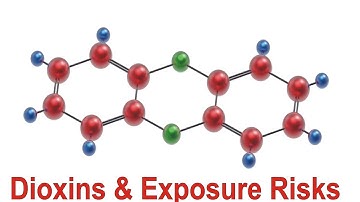 Dioxins & Exposure Risks