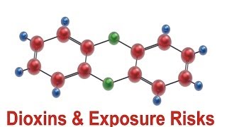 Dioxins & Exposure Risks