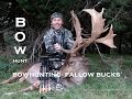 Bowhunt Fallow Bucks New Zealand