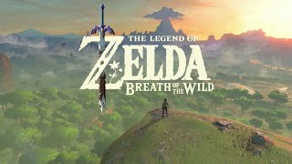 The legend of Zelda - Breath of the wild 100%