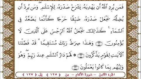 سورة  الأنعام من الأية  125- 127 بصوت الشيخ على جابر