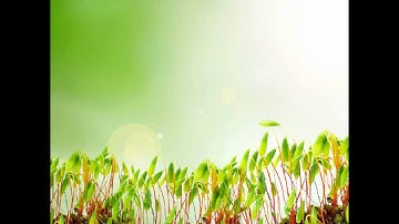 تﻻوة عطرة للقارئ عبد النور رحيم صﻻة الفجر 30 6 15