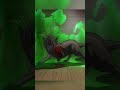 &quot;Перестрелка с крысой&quot; Джо Джо Несокрушимый алмаз  #jojo #анимемомент #аниме #animeshorts #anime