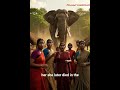 The Elephant Came Back During Her Funeral… #creepystories #creative #horror #creepy #historia #scary