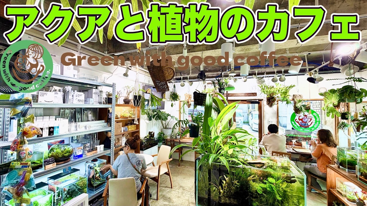 【アクアリウム】植物とアクアリウムに囲まれたカフェがこちらです(癒しの空間でお茶しませんか?グリーンウィズグッドコーヒーへようこそ)