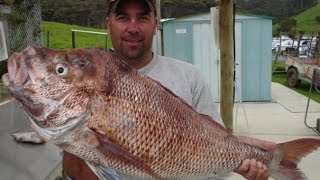 REEL KIWI FISHING - Big far North Snapper and Kings with NZ Fishwhisperer