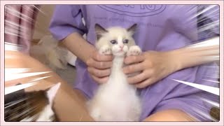 둘째가 생겼어요