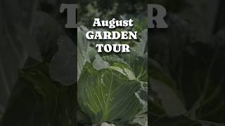 Quick Home Garden Tour in August - Polish Homestead