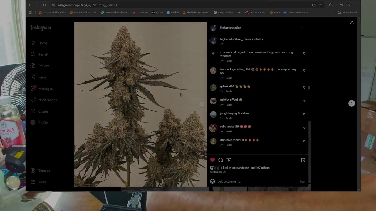 Melted Strawberries!