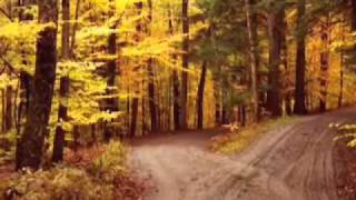 The Road Not Taken by Robert Frost