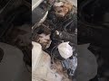 Primeira lava do motor da parati quadrada em muito tempo
